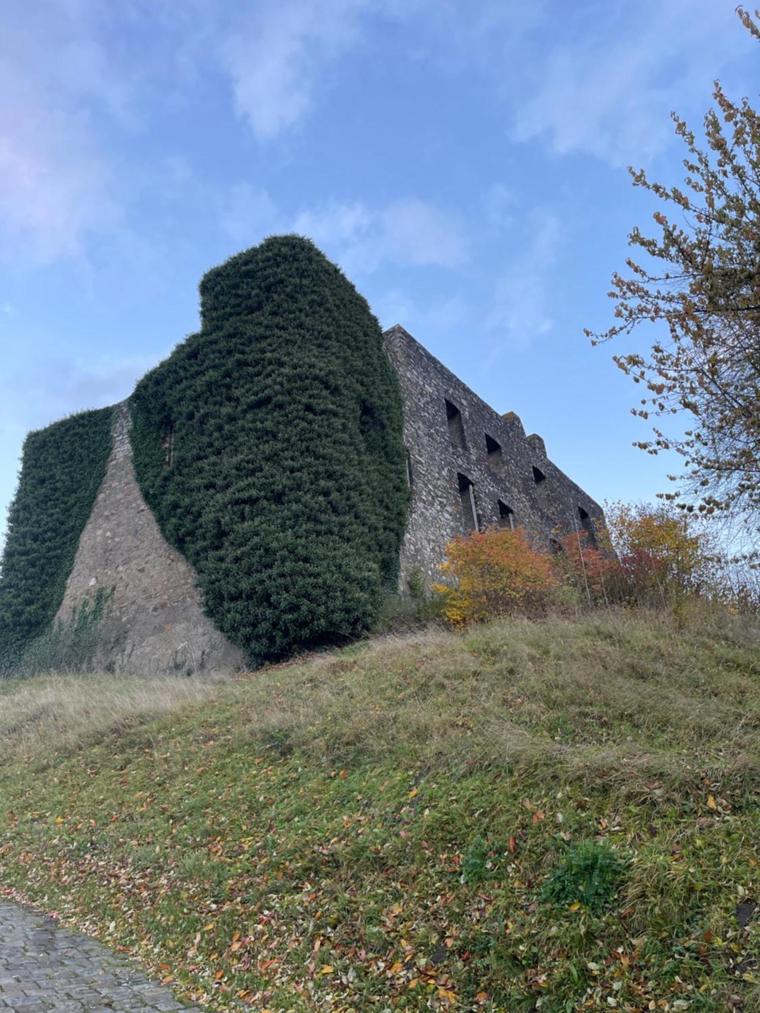 Ritterstube - Eifelstuben Mit Charme, Naehe See Und Burg, Aussergewoehnlich, Vulkaneifel Ulmen Kültér fotó